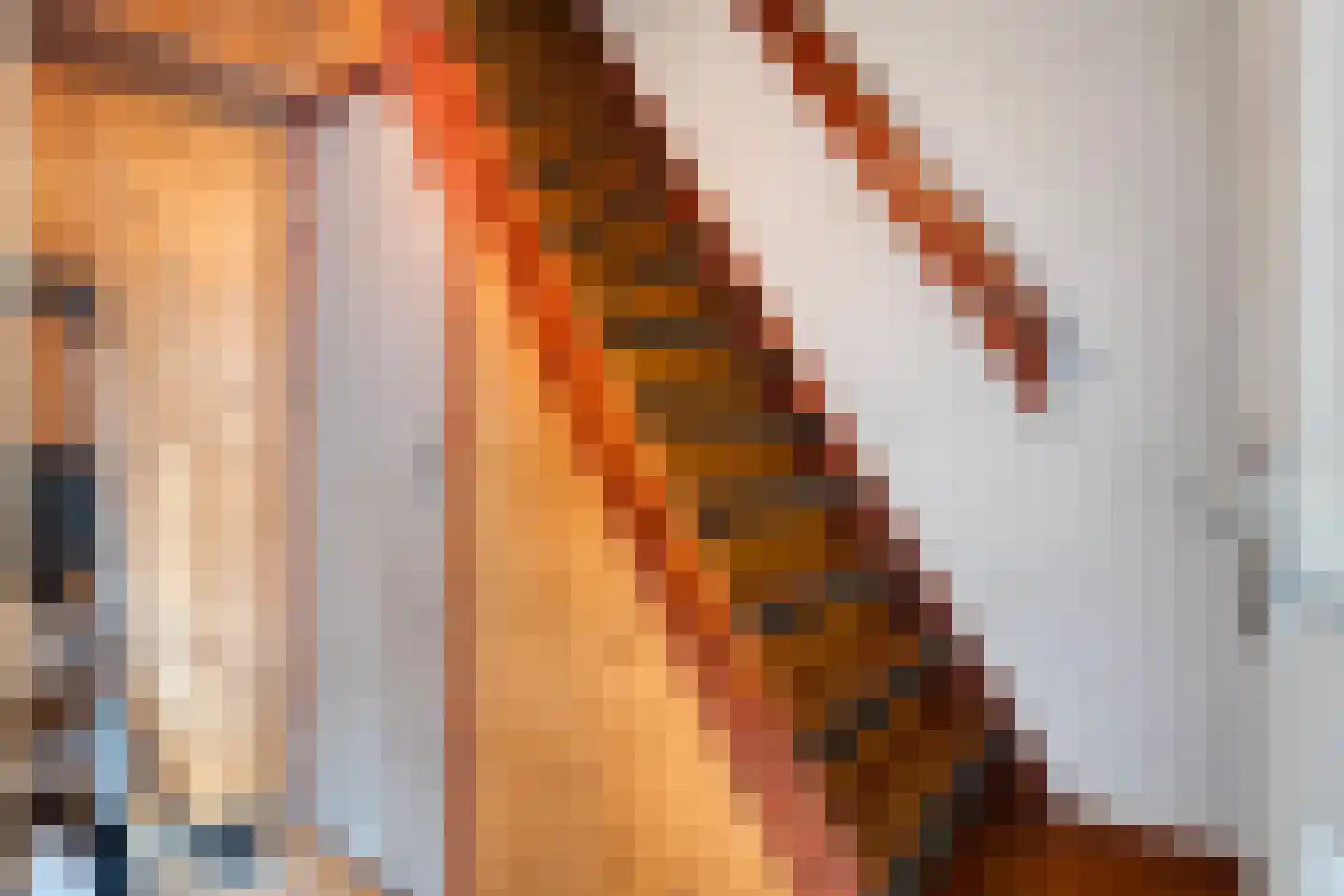Grotestraat 13 Goor thumbnail 21