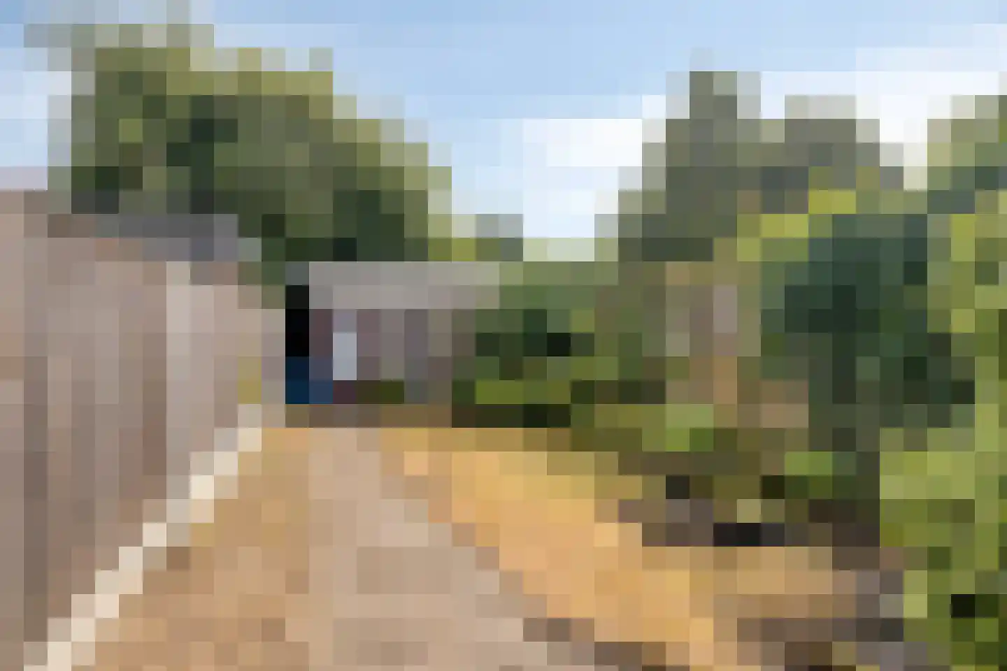 Grotestraat 13 Goor thumbnail 30