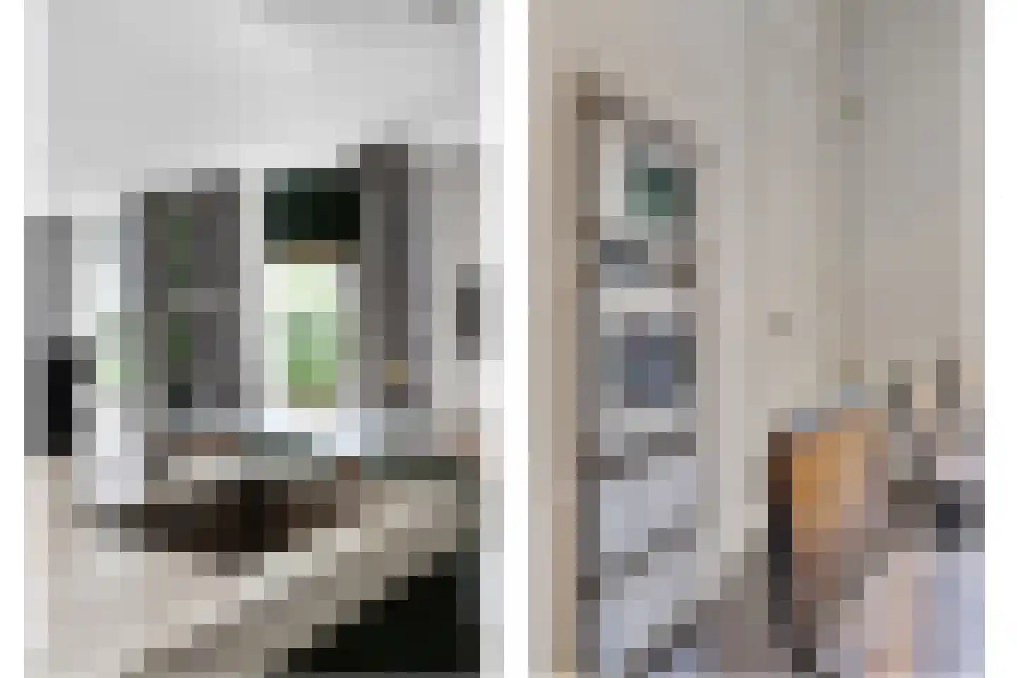 Grotestraat 13 Oploo thumbnail 19