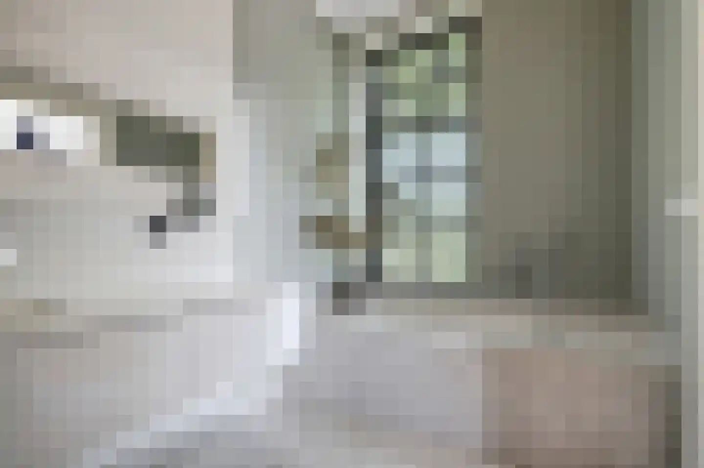 Grotestraat 13 Oploo thumbnail 34