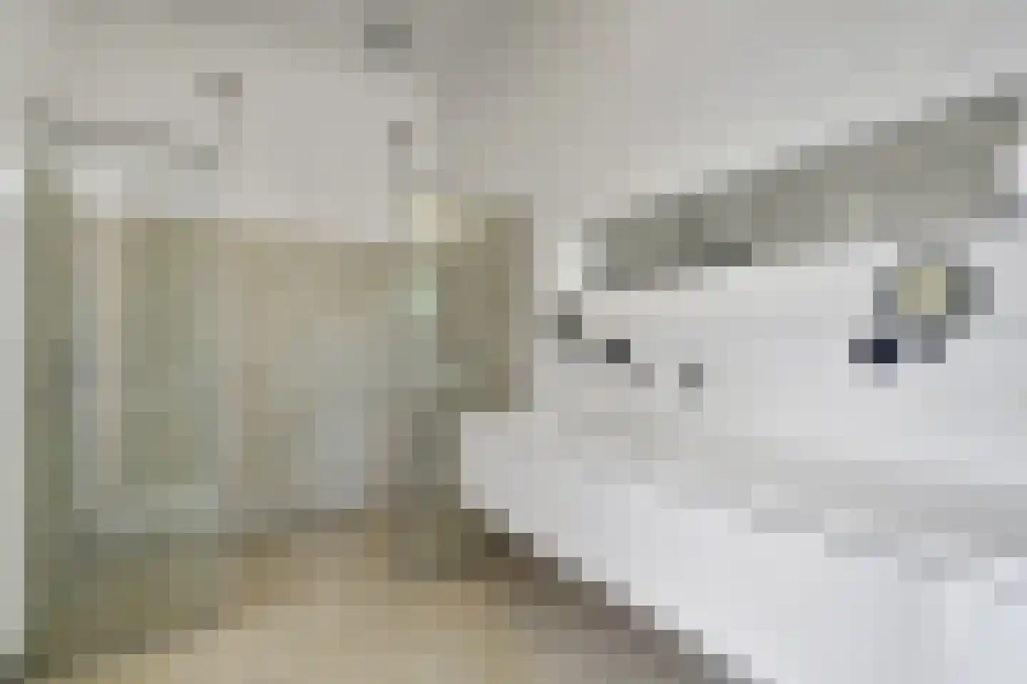 Grotestraat 13 Oploo thumbnail 35