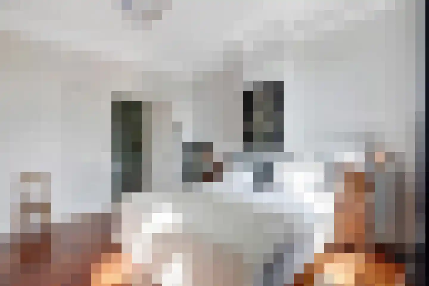 Grotestraat 13 Oploo thumbnail 38