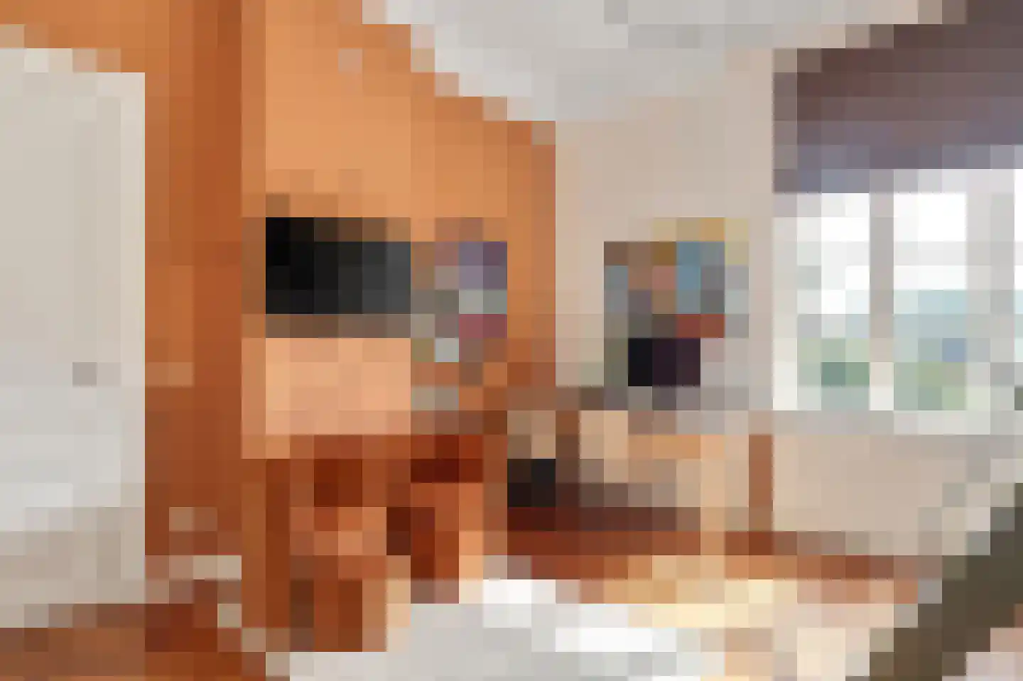 Grotestraat 13 Oploo thumbnail 43