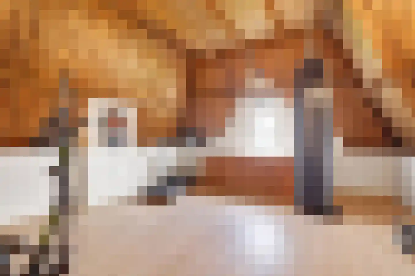 Grotestraat 13 Oploo thumbnail 56