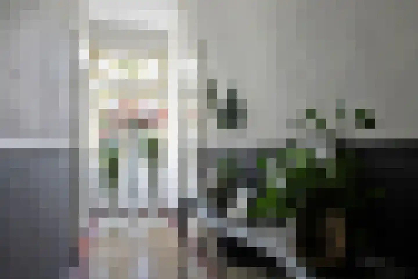 Grotestraat 13 Oploo thumbnail 7