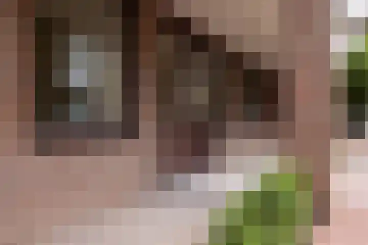 Grotestraat 13 Wehl thumbnail 23