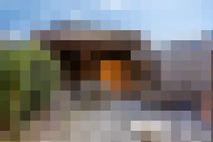 Grotestraat 13 Wehl thumbnail 24