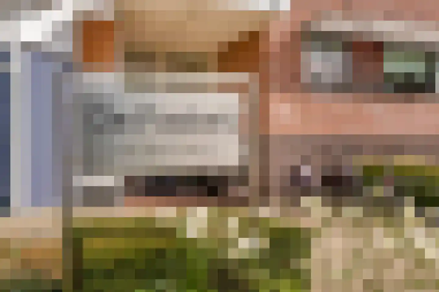 Grotestraat 130 12 Nijverdal thumbnail 32