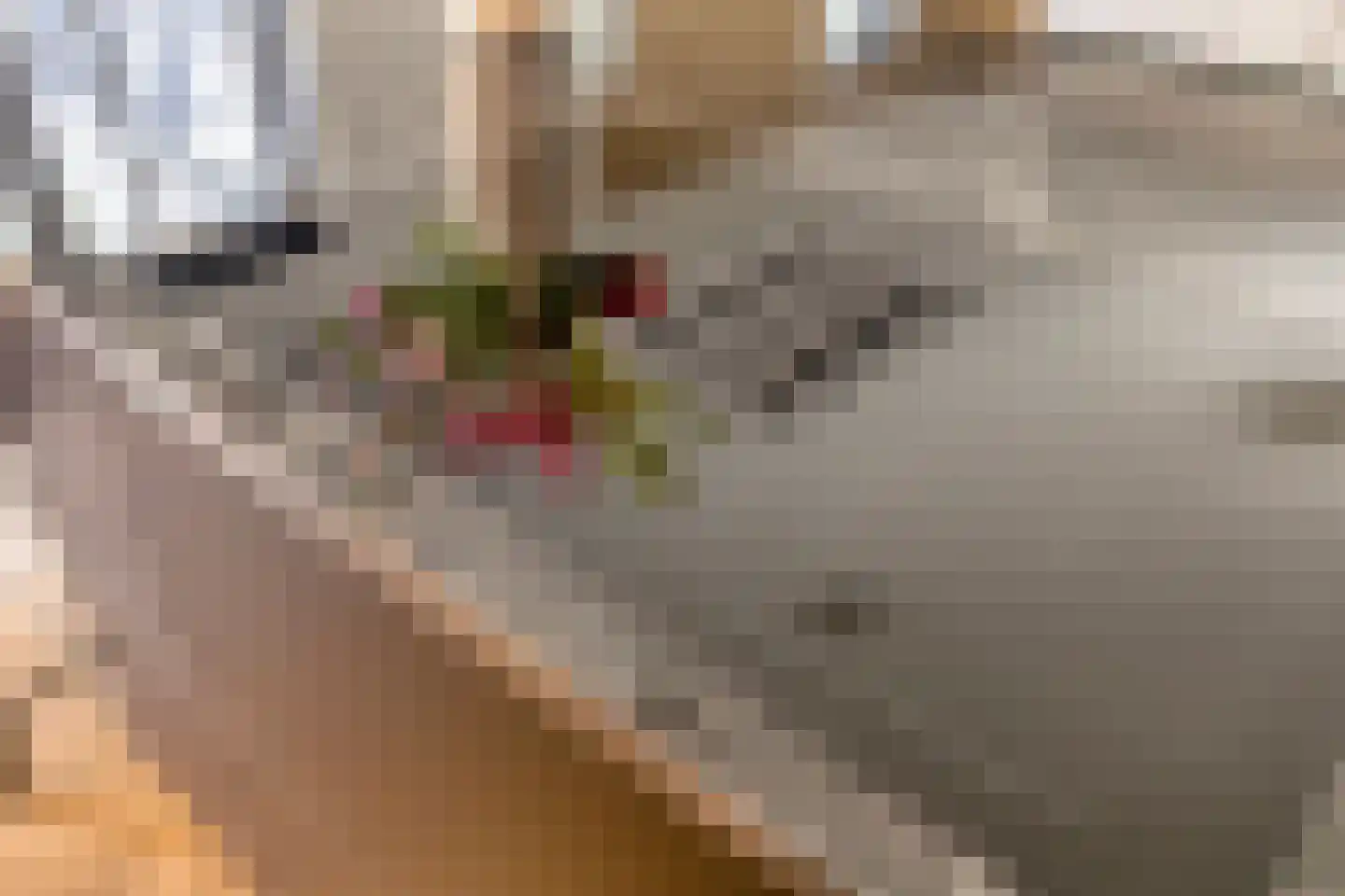 Grotestraat 131 B Ede thumbnail 10
