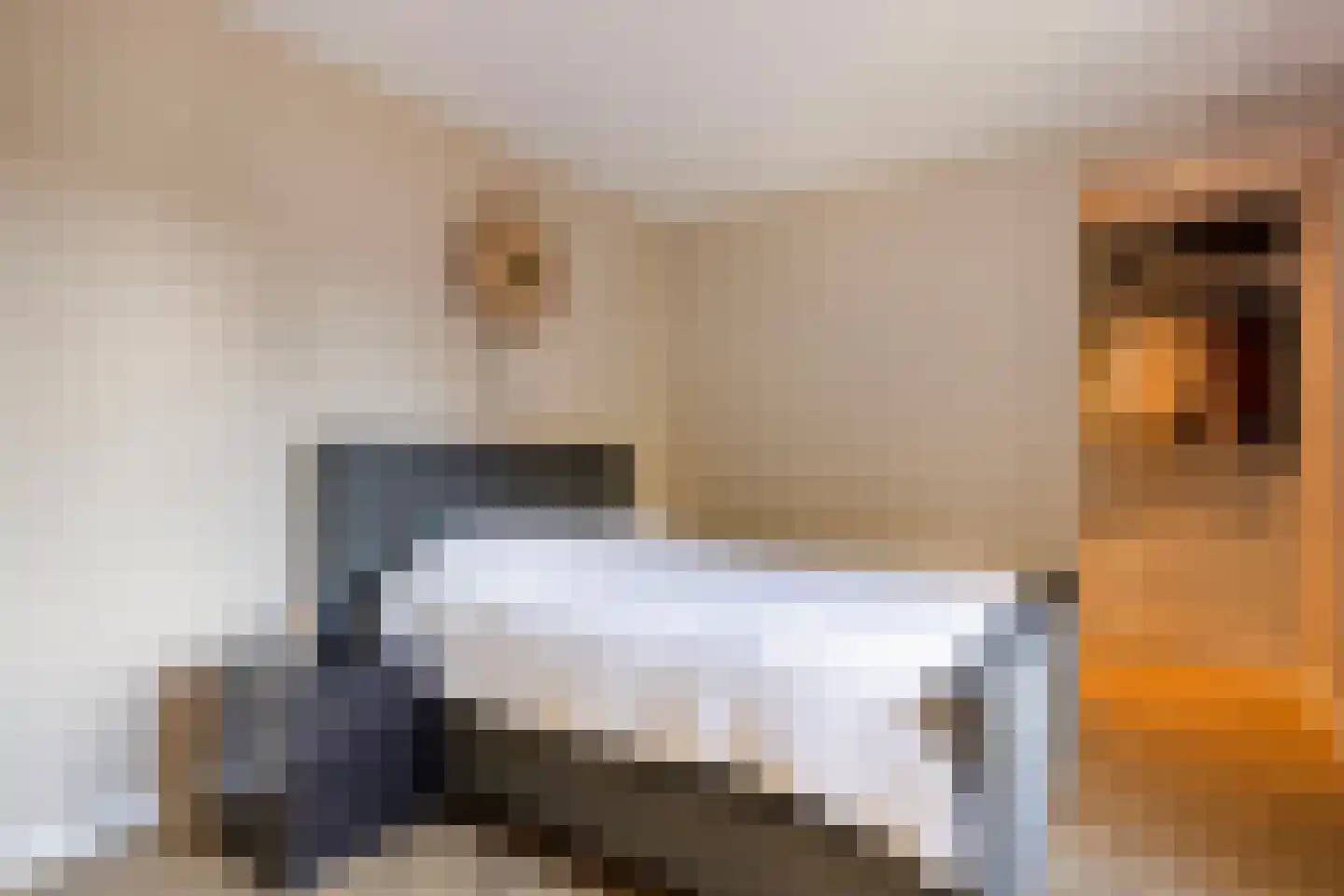Grotestraat 131 B Ede thumbnail 13