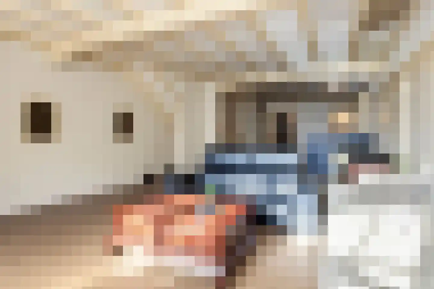 Grotestraat 131 Waalwijk thumbnail 6