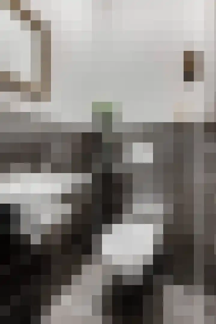 Grotestraat 133 D Ede thumbnail 13