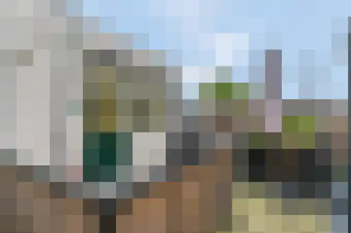 Grotestraat 133 D Ede thumbnail 22