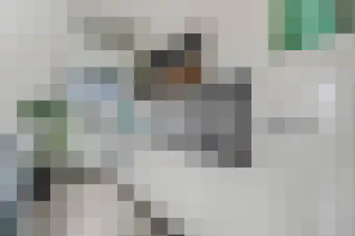 Grotestraat 133 D Ede thumbnail 9