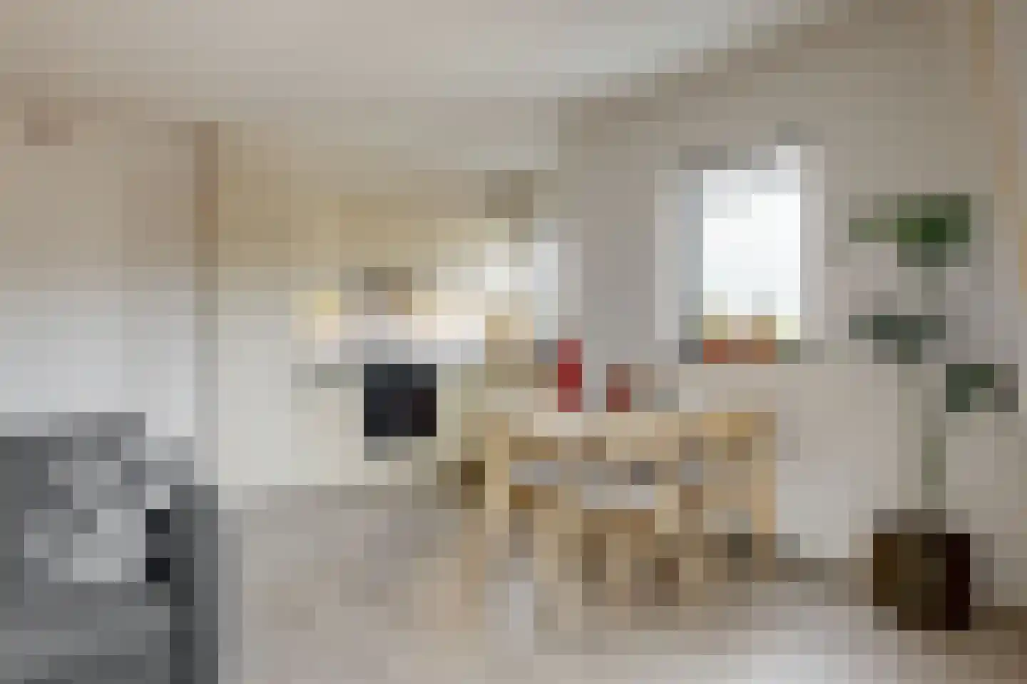 Grotestraat 133 E Ede thumbnail 8