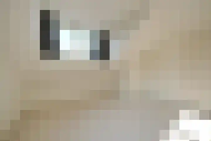 Grotestraat 137 A Ede thumbnail 9