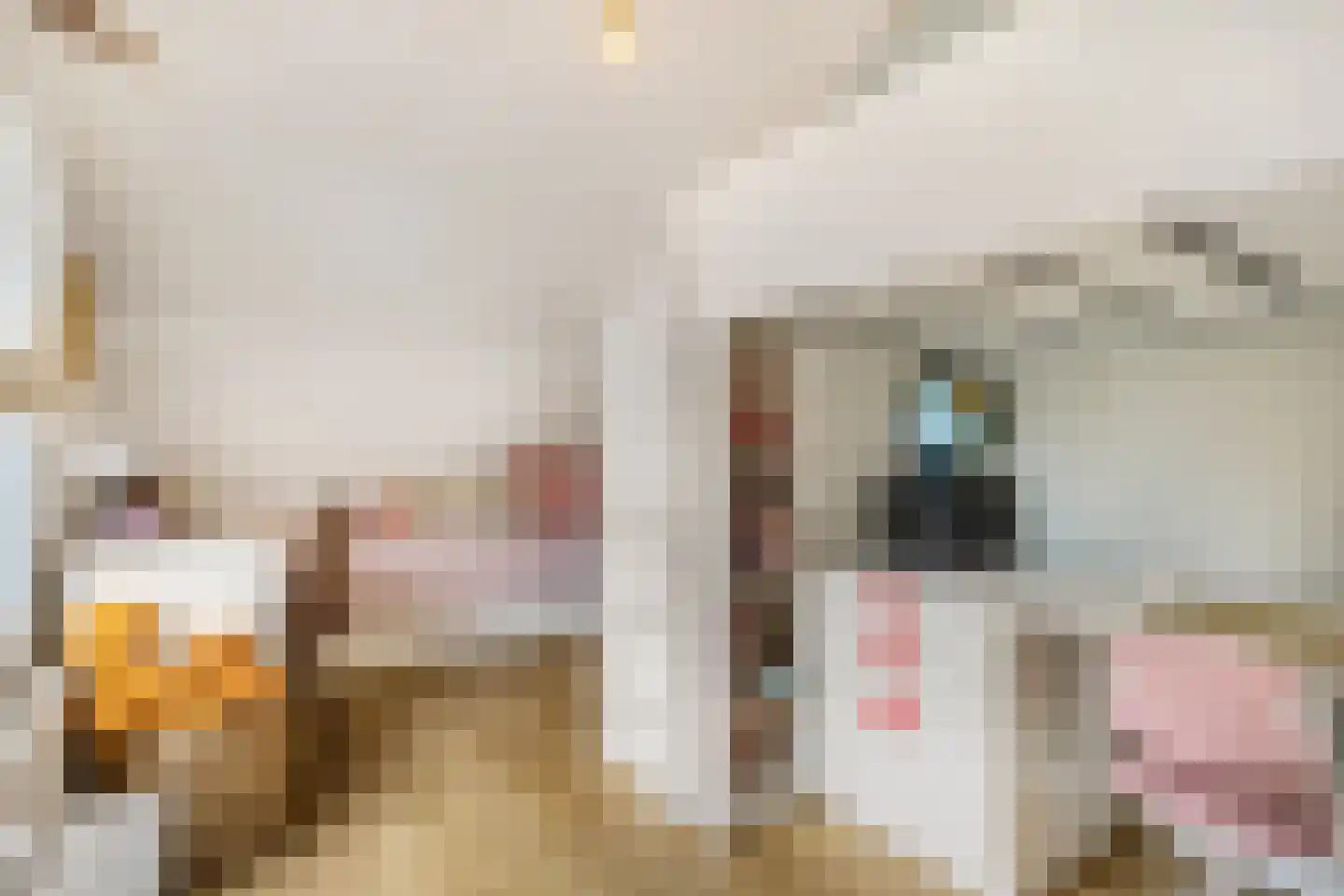 Grotestraat 141 Ede thumbnail 27