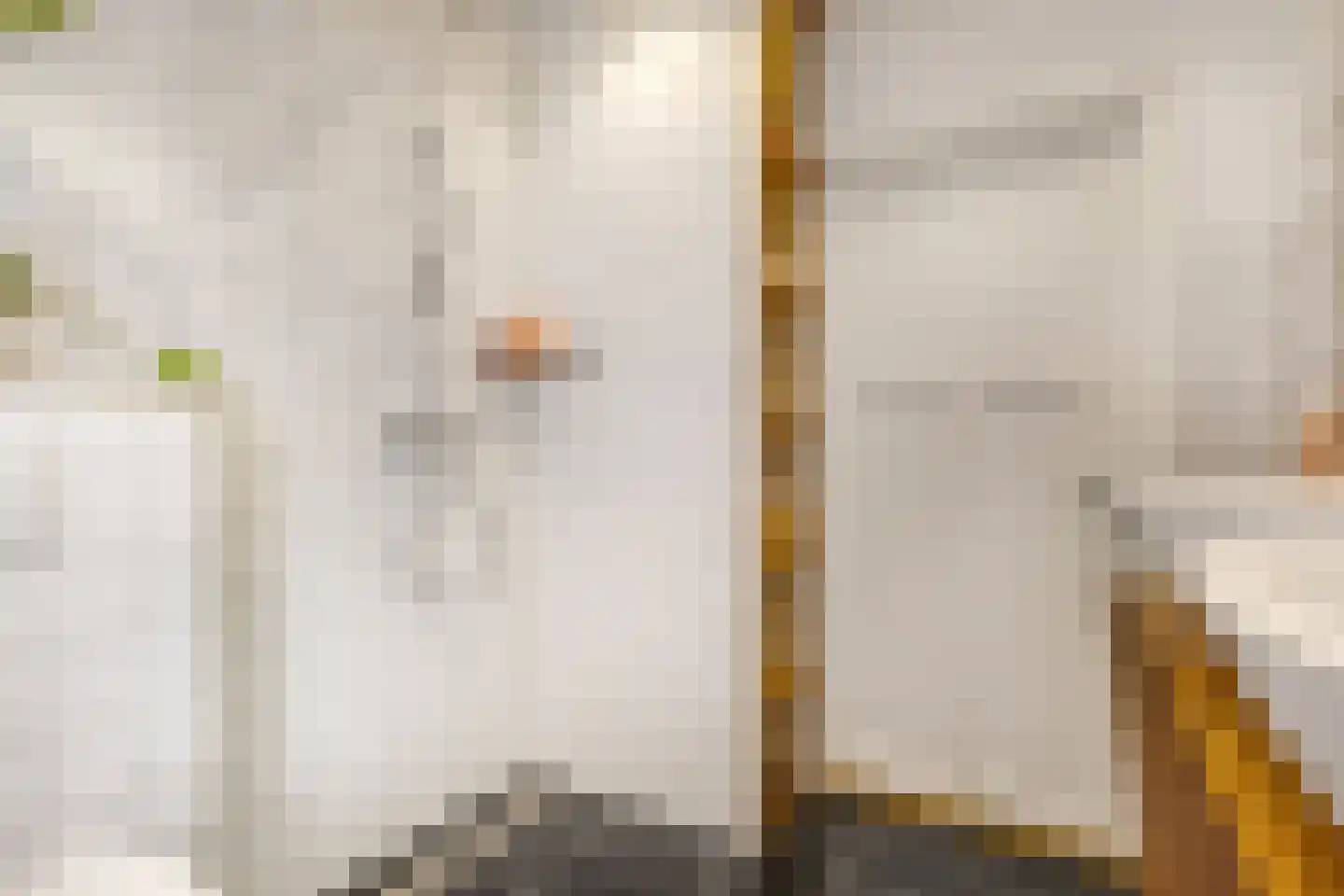 Grotestraat 141 Ede thumbnail 33