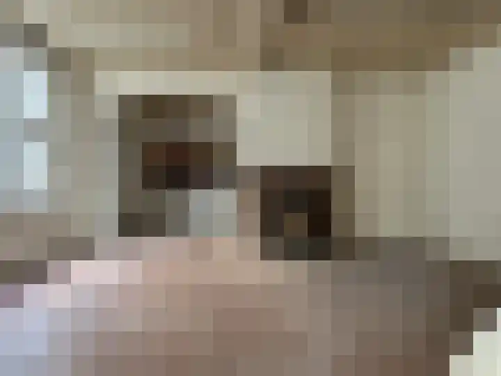 Grotestraat 155 Waalwijk thumbnail 5