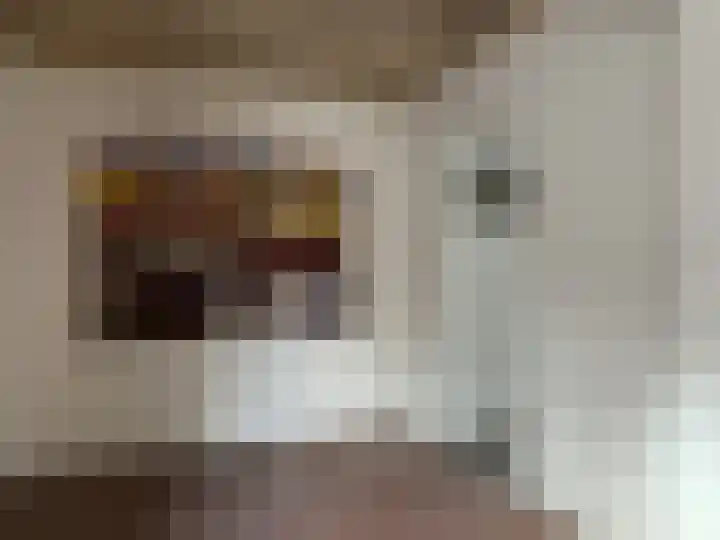 Grotestraat 155 Waalwijk thumbnail 7