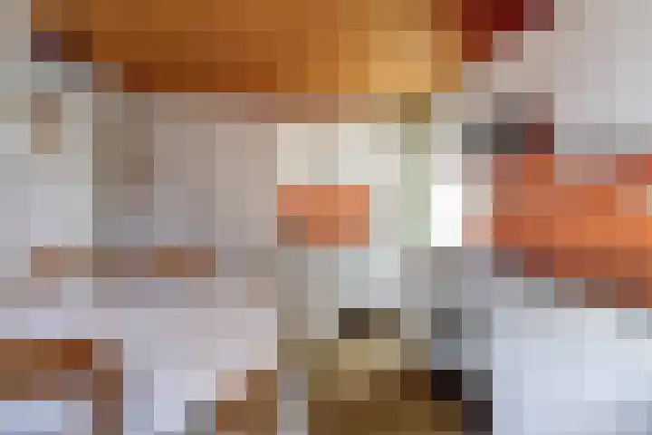 Grotestraat 16 Baarlo thumbnail 23