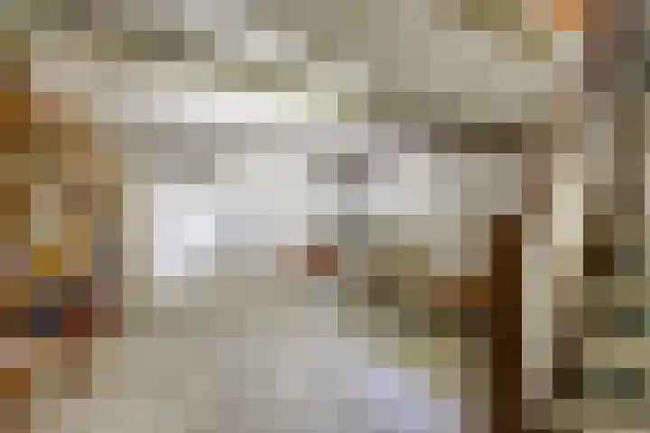 Grotestraat 16 Baarlo thumbnail 35