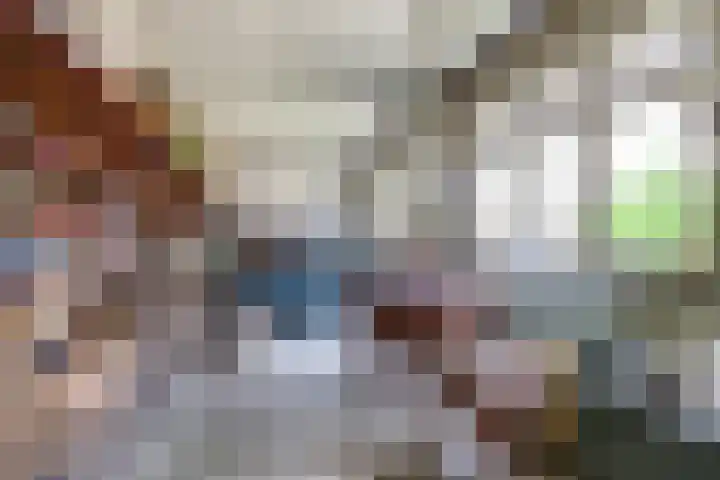 Grotestraat 16 Baarlo thumbnail 39