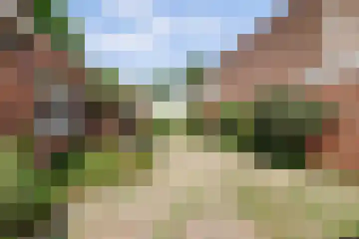 Grotestraat 16 Baarlo thumbnail 41