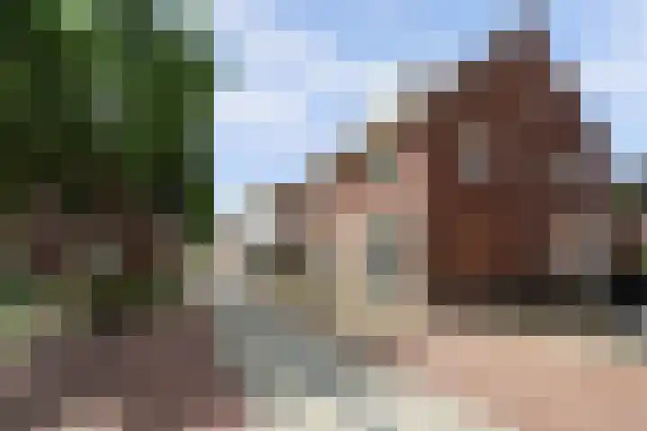 Grotestraat 16 Baarlo thumbnail 49