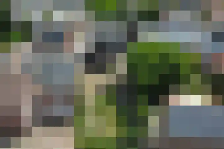 Grotestraat 16 Baarlo thumbnail 52