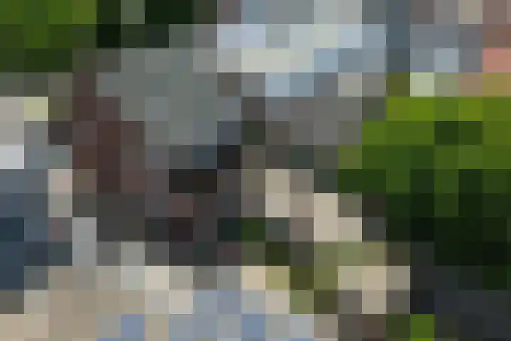 Grotestraat 16 Baarlo thumbnail 53