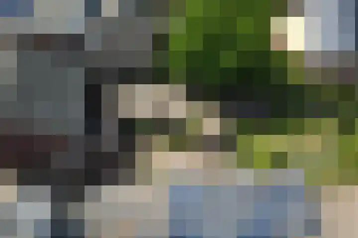 Grotestraat 16 Baarlo thumbnail 54