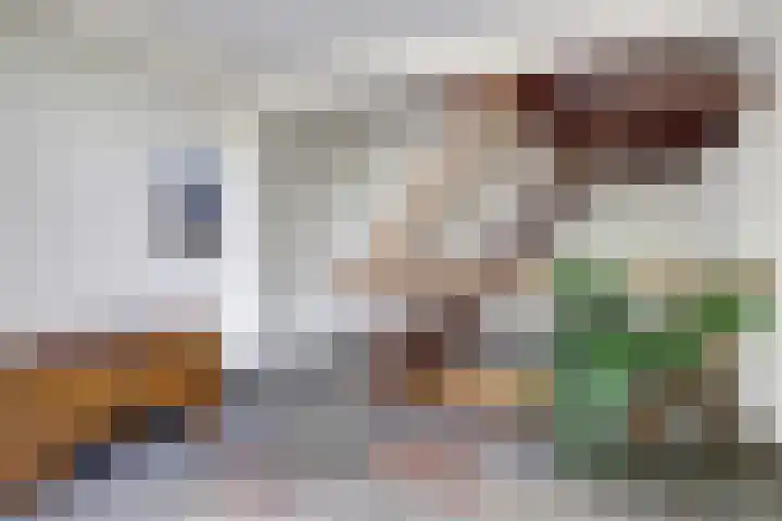 Grotestraat 16 Baarlo thumbnail 6