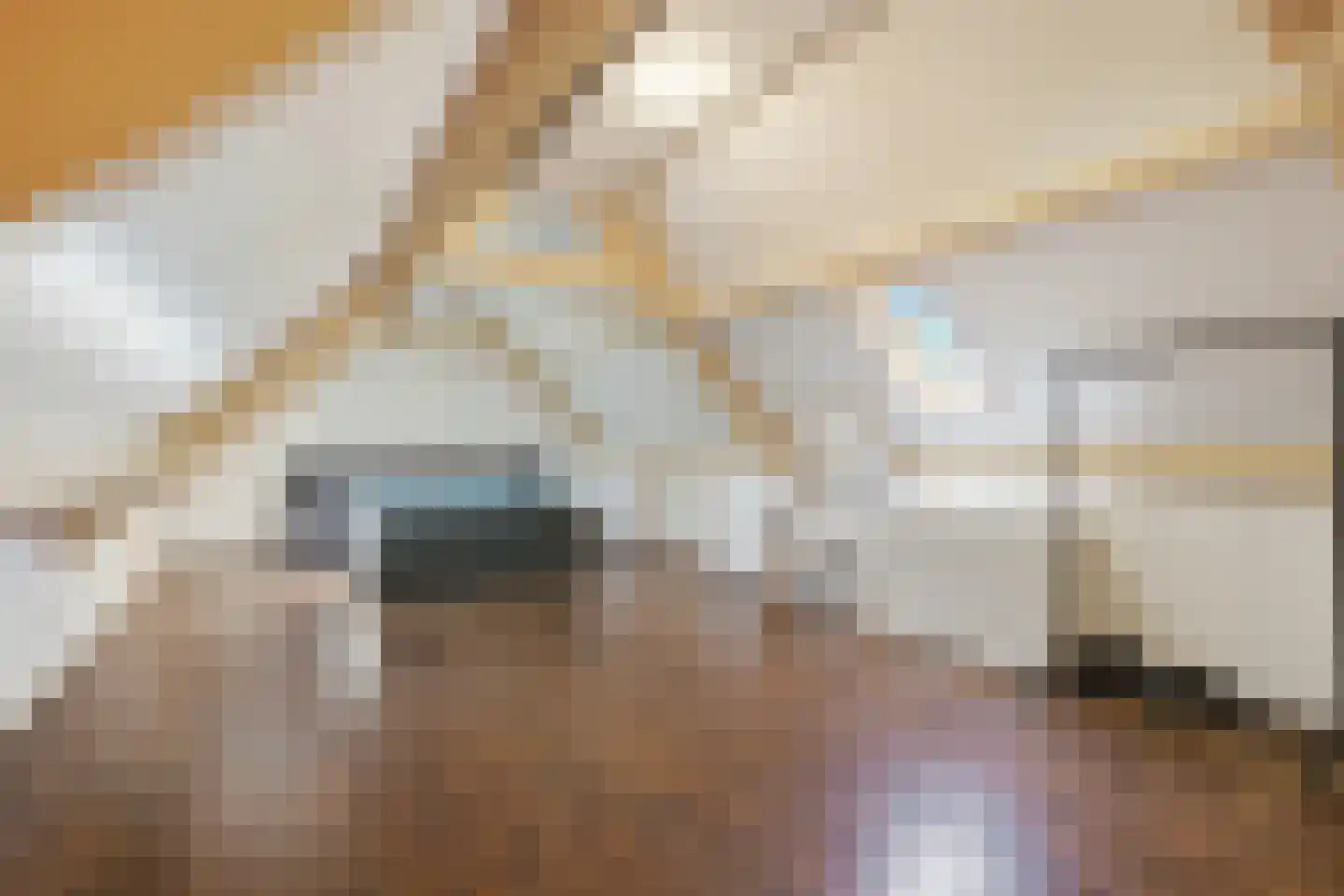 Grotestraat 16 Oploo thumbnail 21