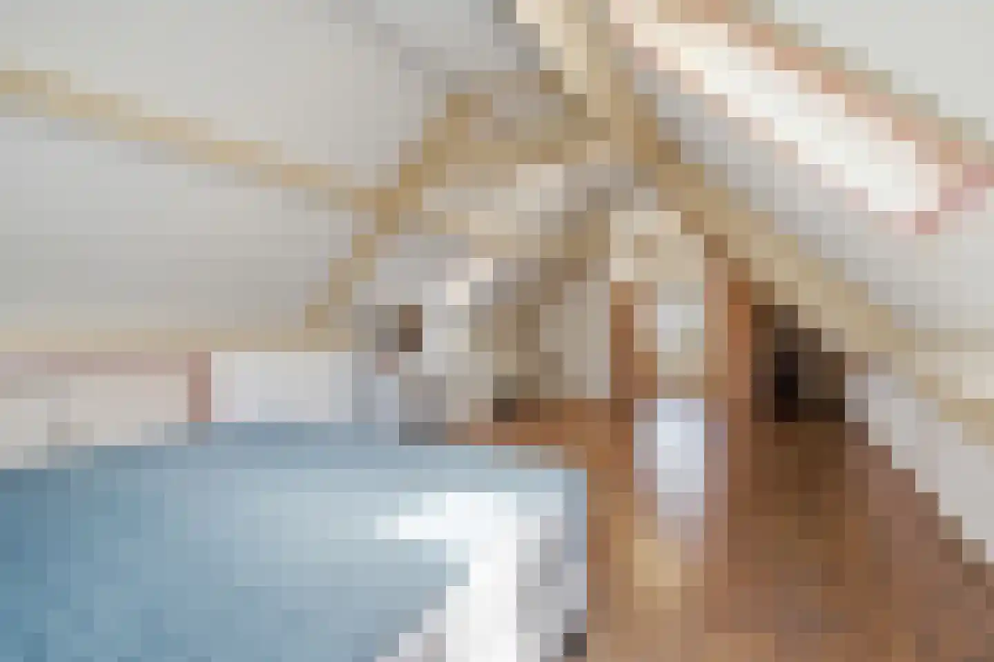 Grotestraat 16 Oploo thumbnail 22