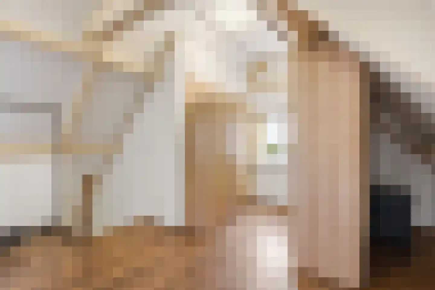 Grotestraat 16 Oploo thumbnail 24