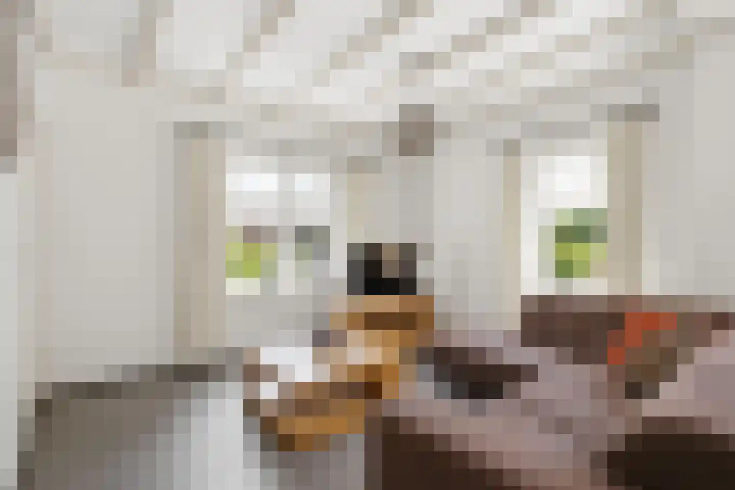 Grotestraat 16 Oploo thumbnail 4