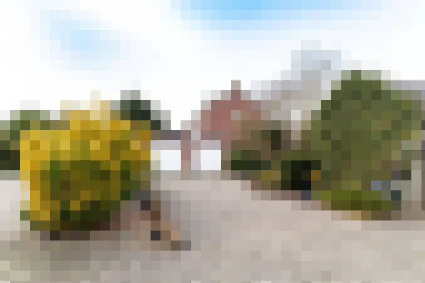 Grotestraat 169 Nijverdal thumbnail 36