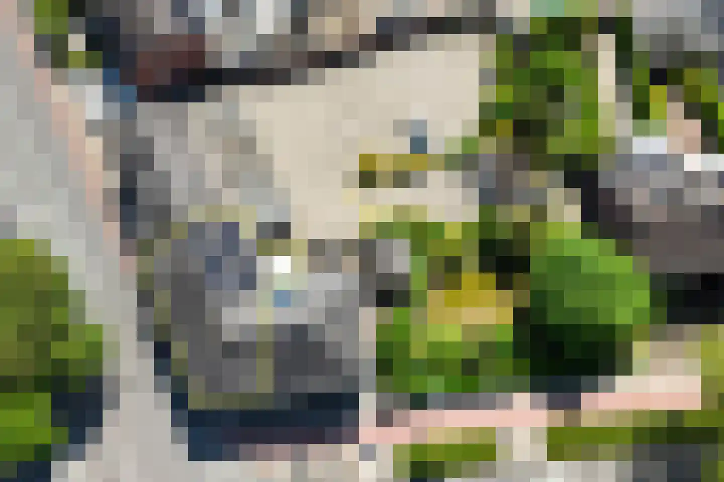 Grotestraat 169 Nijverdal thumbnail 39