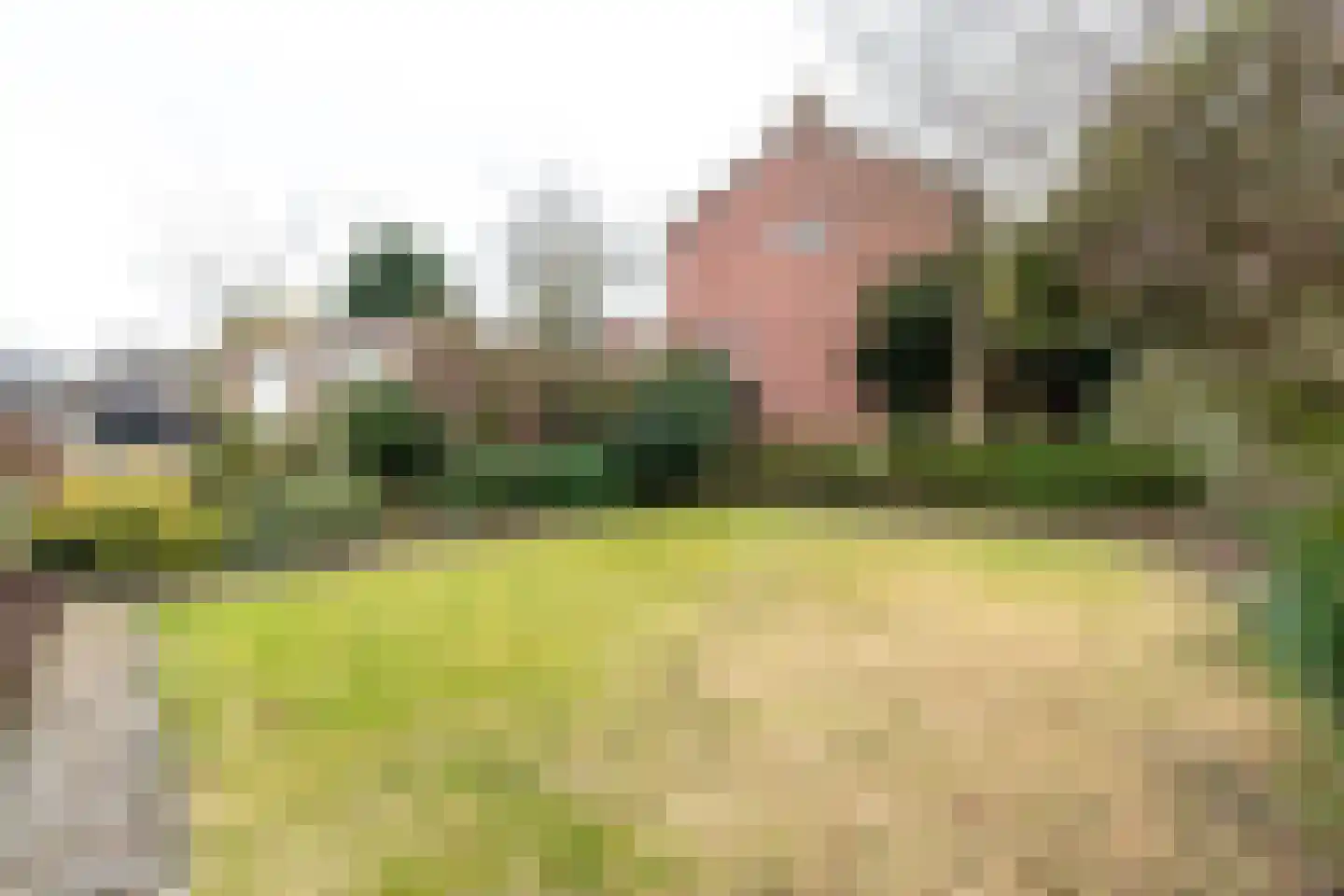 Grotestraat 171 Nijverdal thumbnail 27