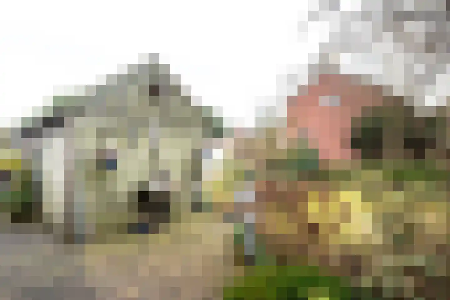 Grotestraat 171 Nijverdal thumbnail 28