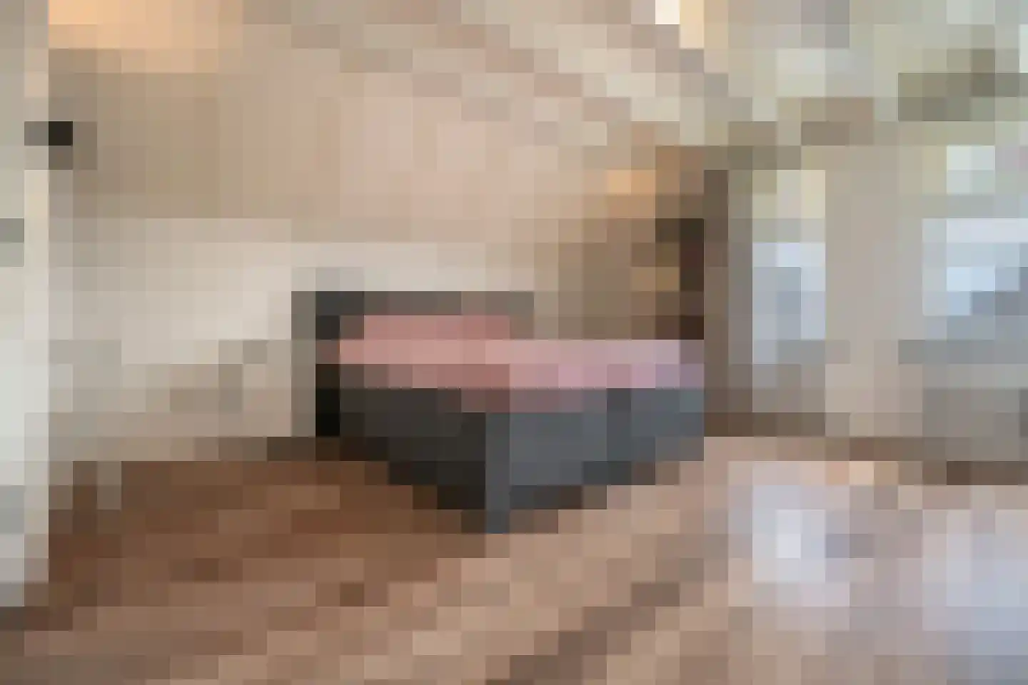 Grotestraat 174 Drunen thumbnail 16