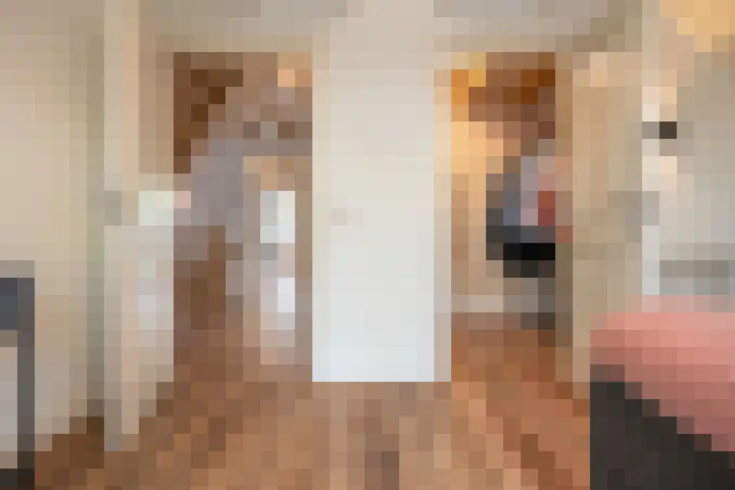 Grotestraat 174 Drunen thumbnail 17