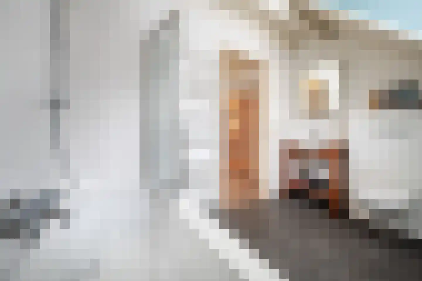 Grotestraat 174 Drunen thumbnail 22
