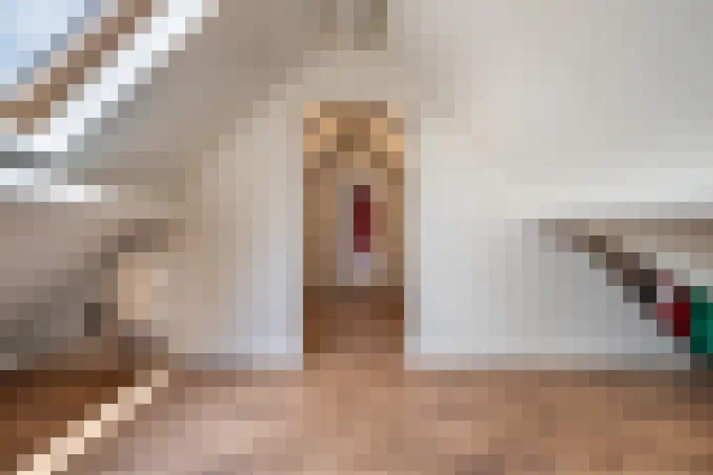 Grotestraat 174 Drunen thumbnail 26