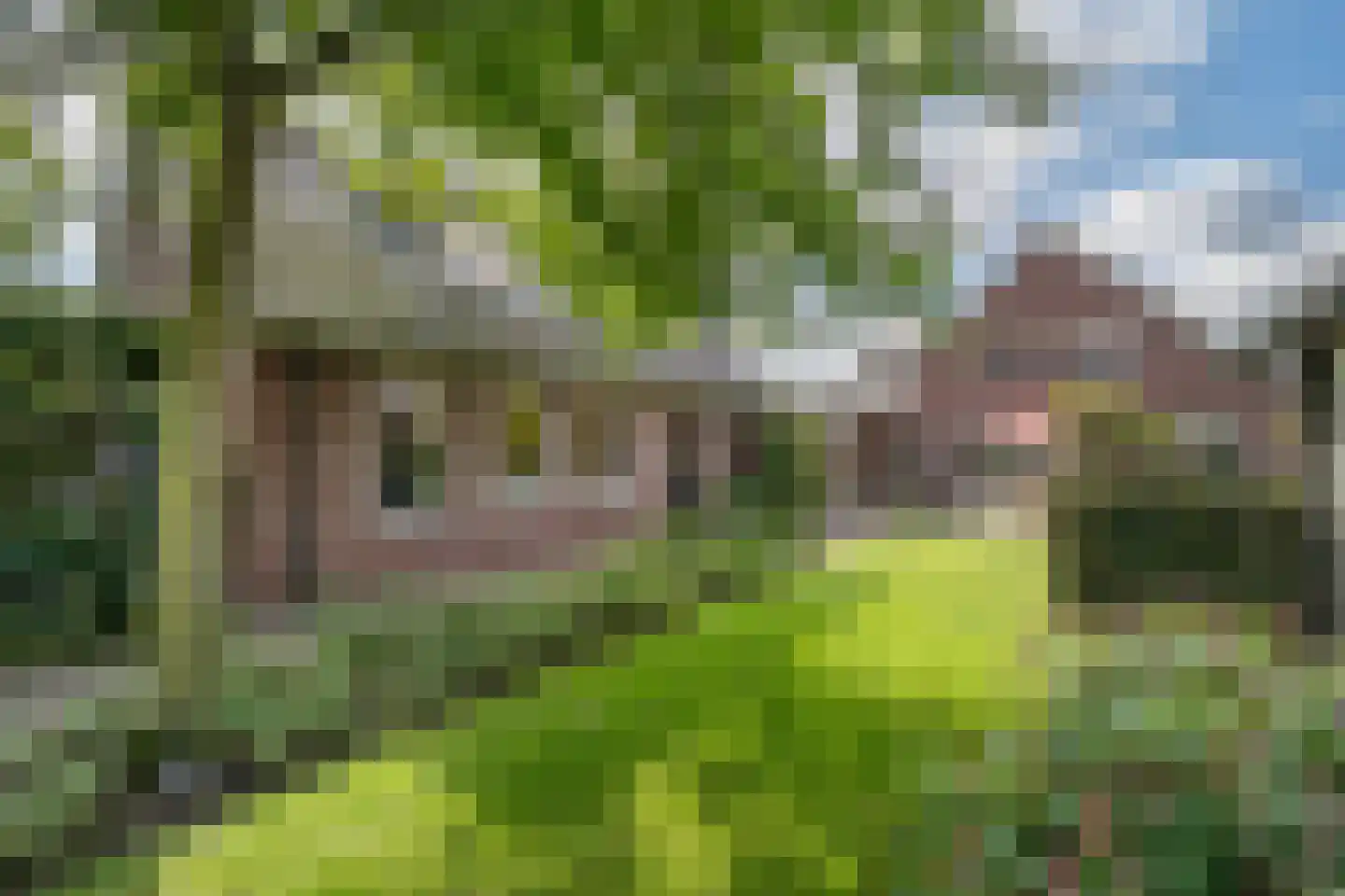 Grotestraat 174 Drunen thumbnail 33