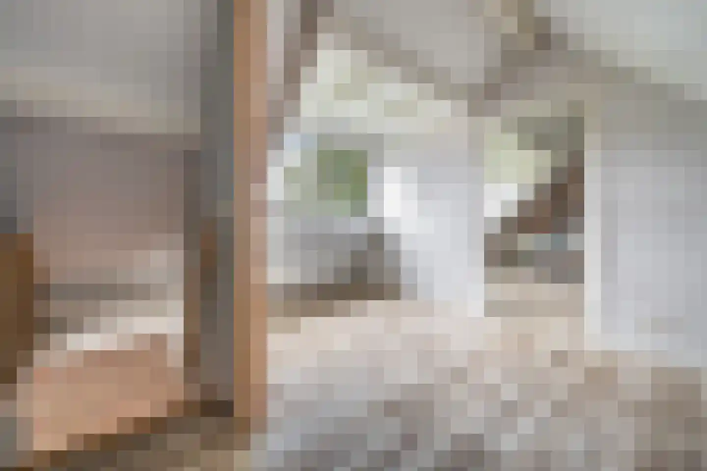 Grotestraat 174 Drunen thumbnail 36