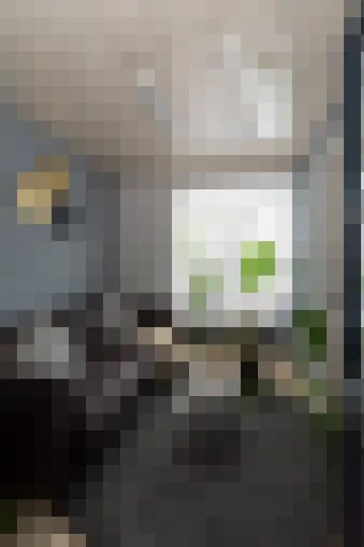 Grotestraat 175 Nijverdal thumbnail 11