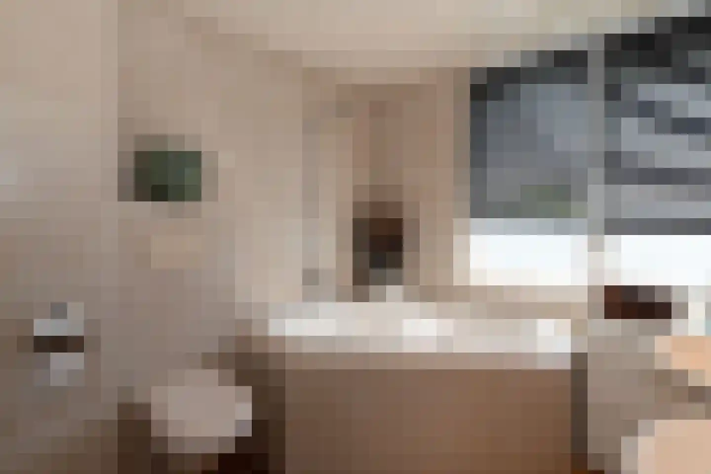 Grotestraat 175 Nijverdal thumbnail 28