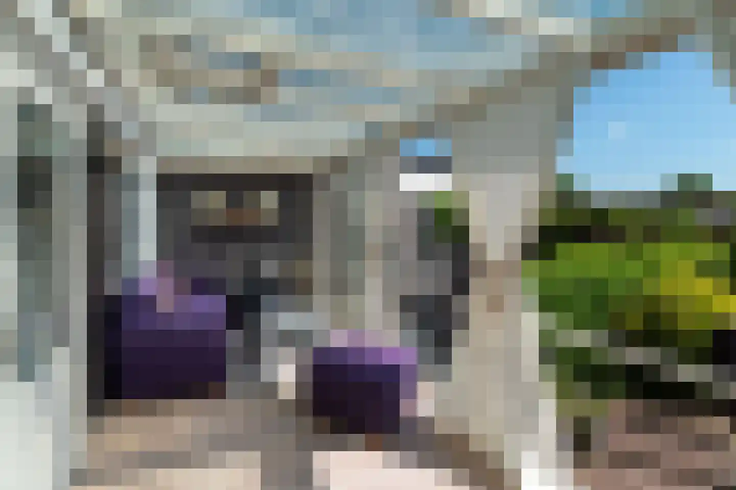 Grotestraat 175 Nijverdal thumbnail 8